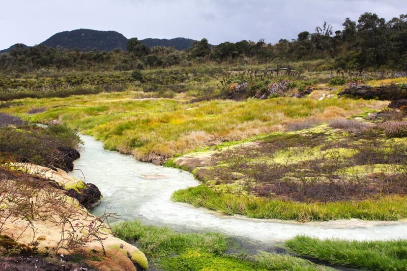 From Popayán: Day Trip to Puracé National Park - Important Information