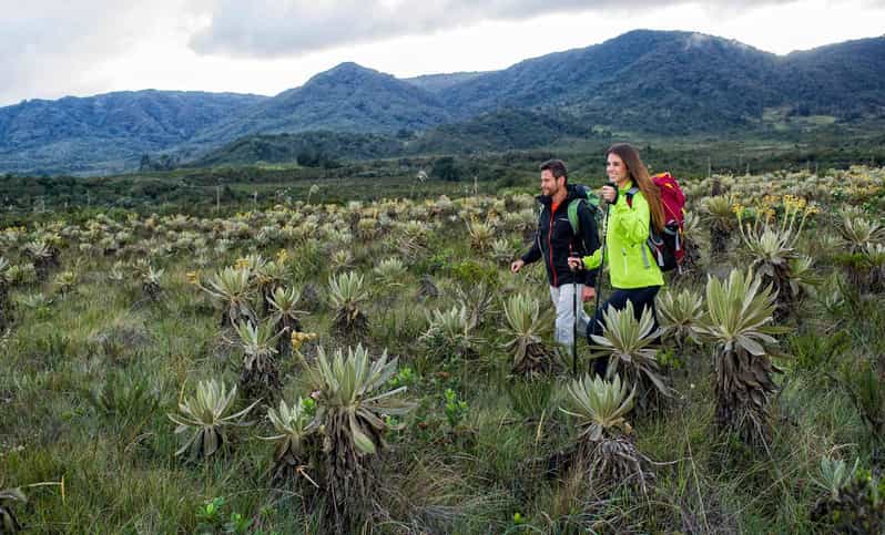 From Popayán: Waterfalls of Puracé National Park - Key Points