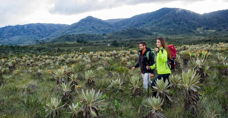 From Popayán: Waterfalls of Puracé National Park - Hiking Experience