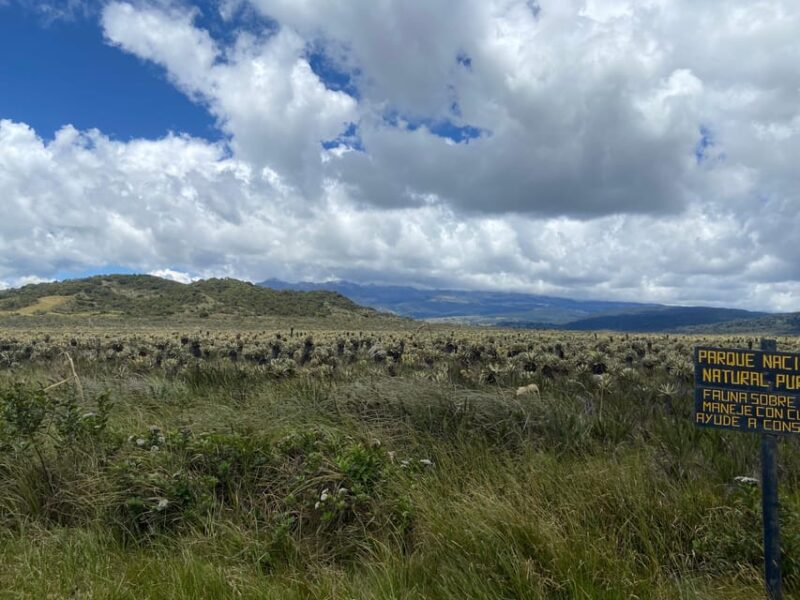 From Popayán: Waterfalls of Puracé National Park - Key Points