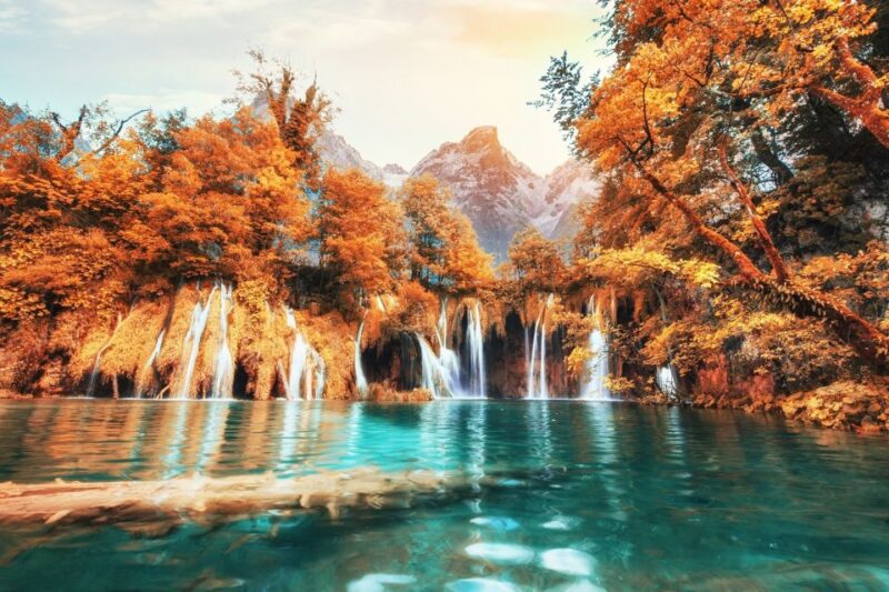 From Porec and Rovinj: Full-Day Plitvice Lakes Guided Trip - Included in the Tour
