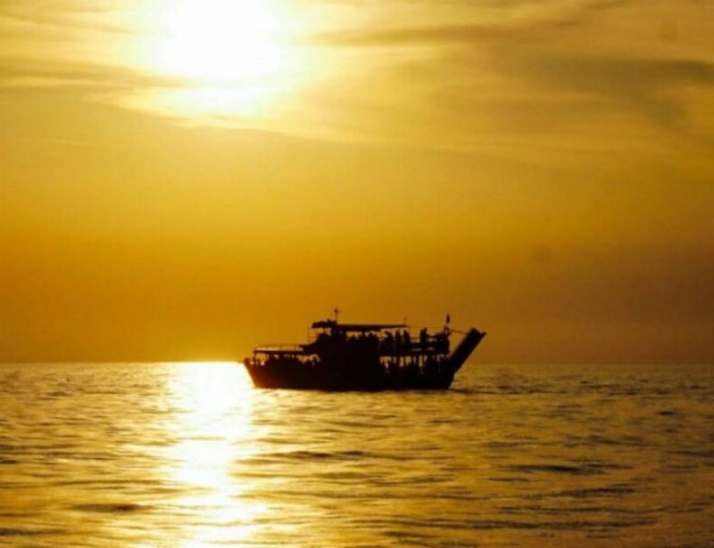 From Poreč: Evening Dolphin Cruise With Welcome Drink - Location and Duration