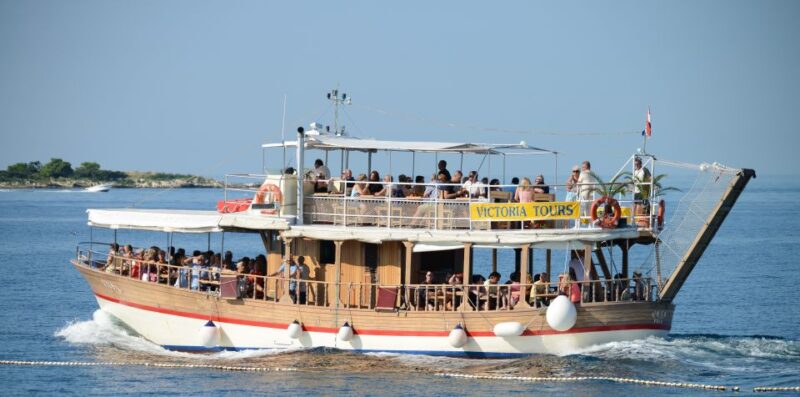 From Poreč: Evening Dolphin Cruise With Welcome Drink - Pricing and Policies