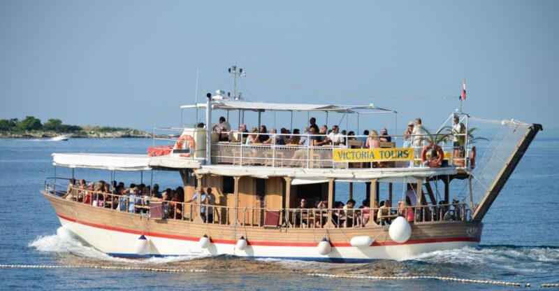 From Poreč: Evening Dolphin Cruise With Welcome Drink - Included and Excluded