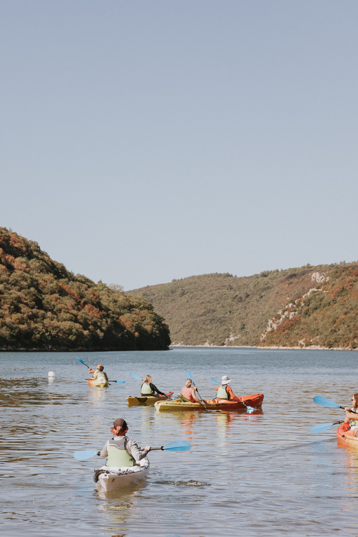 From Poreč: Lim Bay Sea Kayaking Day Trip - Cancellation and Availability