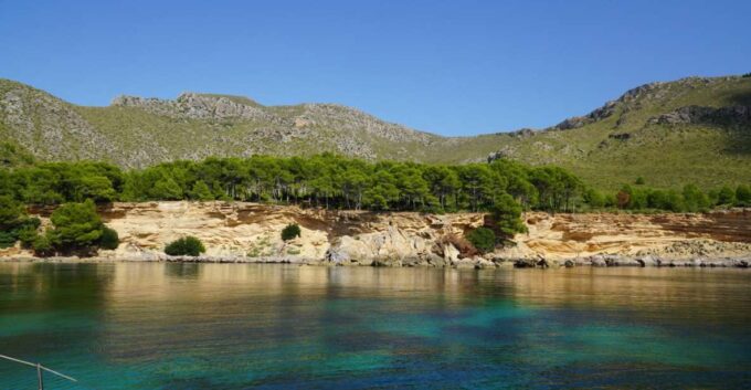 From Port Alcudia: Day Sailing Trip to Cap De Formentor - Tapas and Drinks on Board