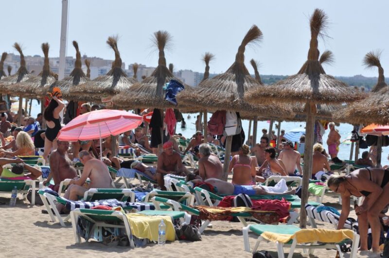From Port Alcudia: Magaluf Shuttle Bus - Itinerary Details