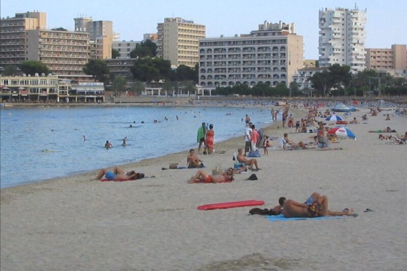 From Port Alcudia: Magaluf Shuttle Bus - Experience Highlights