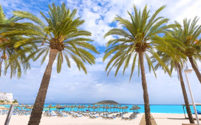 From Port Alcudia: Magaluf Shuttle Bus - Booking Information