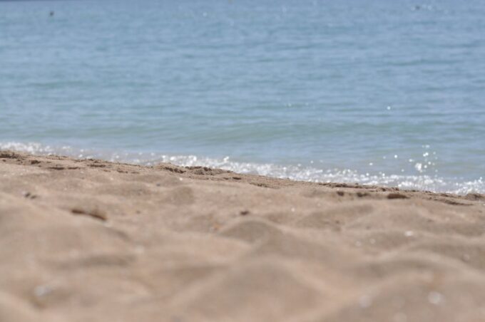 From Port Alcudia: Magaluf Shuttle Bus - Visitor Reviews
