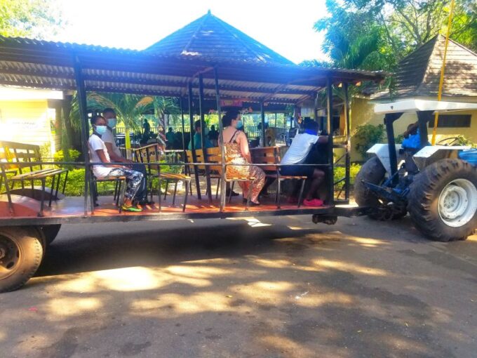 From Port Antonio: Flavors of Jamaica Guided Food Tour - Prospect Plantation and Great House