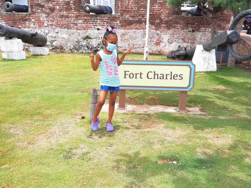From Port Antonio: Port Royal Heritage Guided Day Trip - Inclusions and Amenities