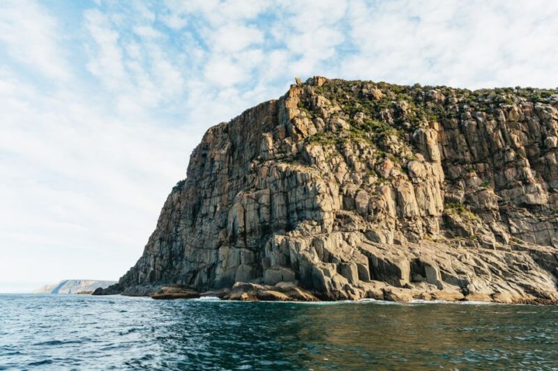 From Port Arthur: Tasman Island Wilderness Cruise - Highlights of the Cruise