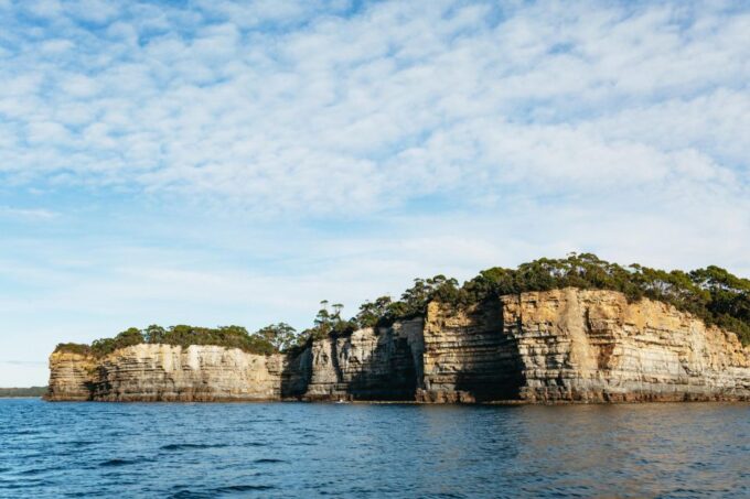 From Port Arthur: Tasman Island Wilderness Cruise - Coastline and National Park