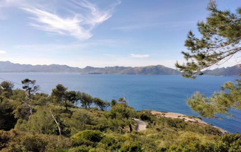 From Port Dalcudia: 2-Hour Sightseeing Quad Tour - Key Points