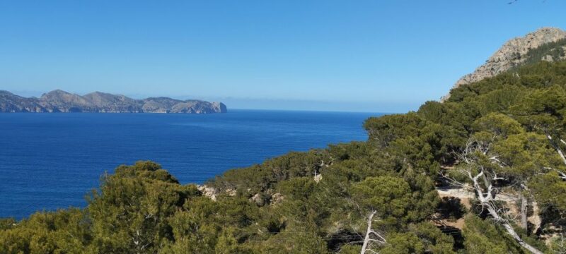 From Port Dalcudia: 2-Hour Sightseeing Quad Tour - Stunning Coastal Views