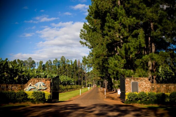 From Port Douglas: Atherton Tablelands Food & Wine Tasting - Tour Details and Suitability