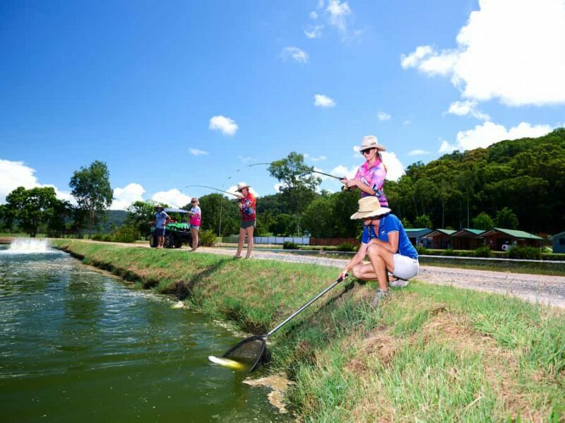 From Port Douglas: Barramundi Pond Fishing with Lunch - Why It’s Worth Considering