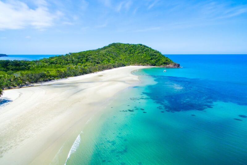 From Port Douglas: Daintree and Mossman Gorge Day Tour - Guided Rainforest Walk