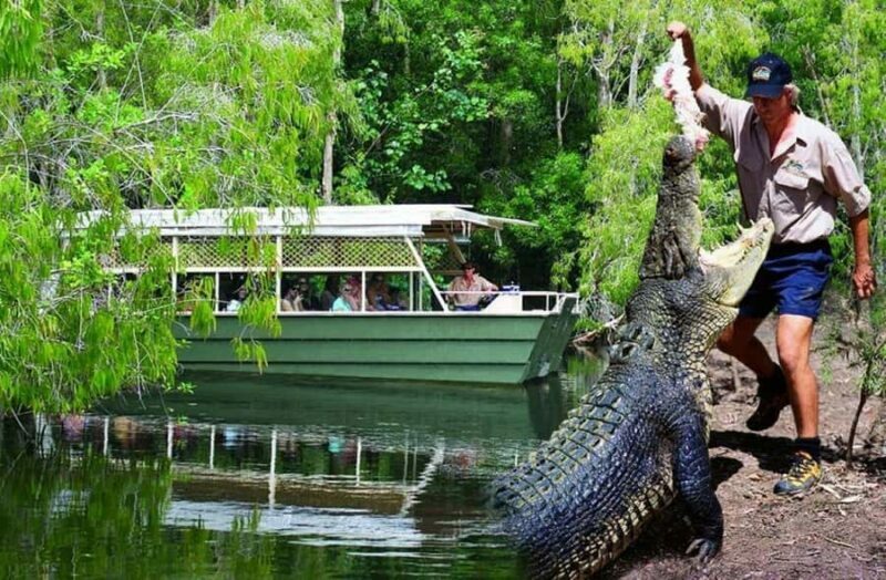 From Port Douglas: Hartley's Crocodile Park, Skyrail & Train - A Realistically Packed Day