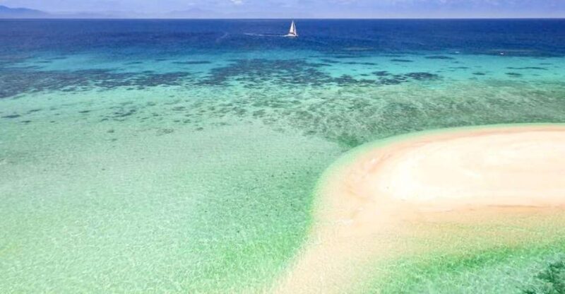 From Port Douglas: Outer Reef Cruise by Luxury Catamaran - Key Points