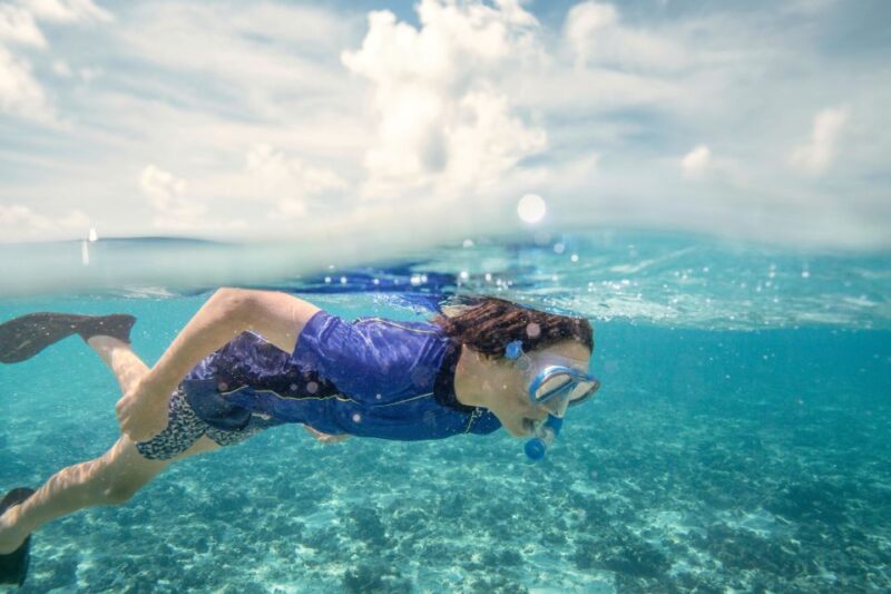 From Port Douglas: Outer Reef Cruise by Luxury Catamaran - Luxury Catamaran Experience