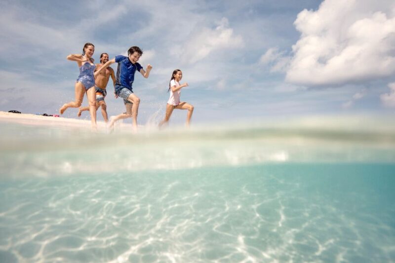 From Port Douglas: Outer Reef Cruise by Luxury Catamaran - Snorkeling Over Pristine Coral