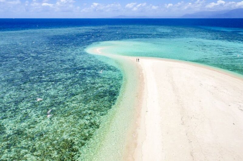 From Port Douglas: Outer Reef Cruise by Luxury Catamaran - Exploring the Coral Cay
