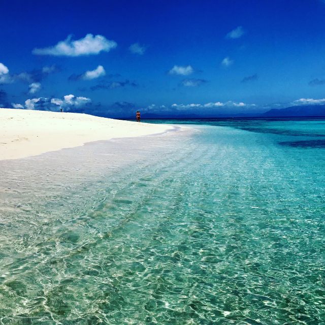 From Port Douglas: Outer Reef Cruise by Luxury Catamaran - Important Information and Reviews