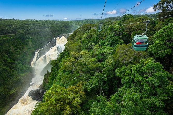 From Port Douglas Tour Including Kuranda, Skyrail & Scenic Train - Skyrail Rainforest Cableway and Aerial Perspectives