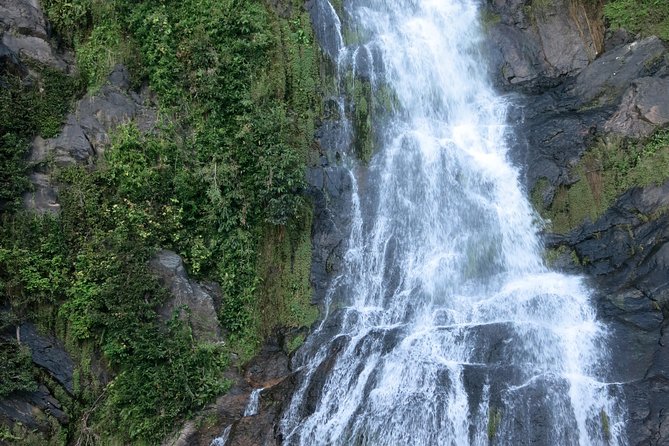 From Port Douglas Tour Including Kuranda, Skyrail & Scenic Train - Seasonal Considerations