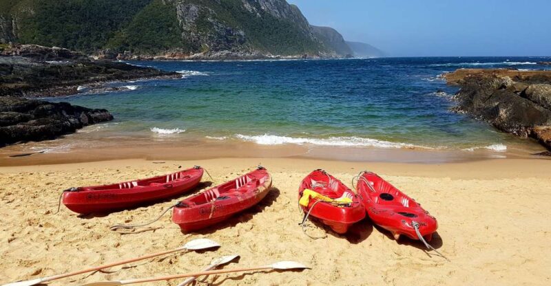 From Port Elizabeth: 5-Day Garden Route Tour to Cape Town - Key Points