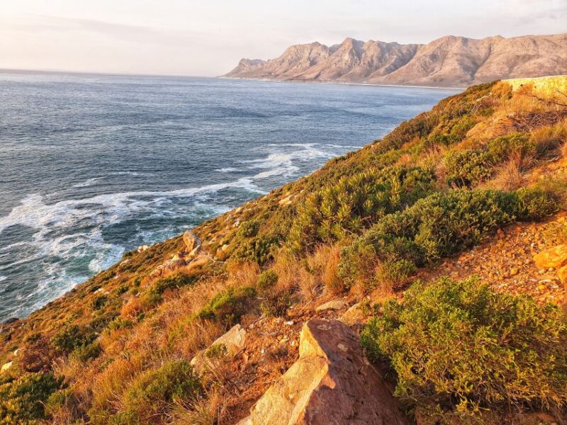 From Port Elizabeth: 5-Day Garden Route Tour to Cape Town - Transportation and Guide