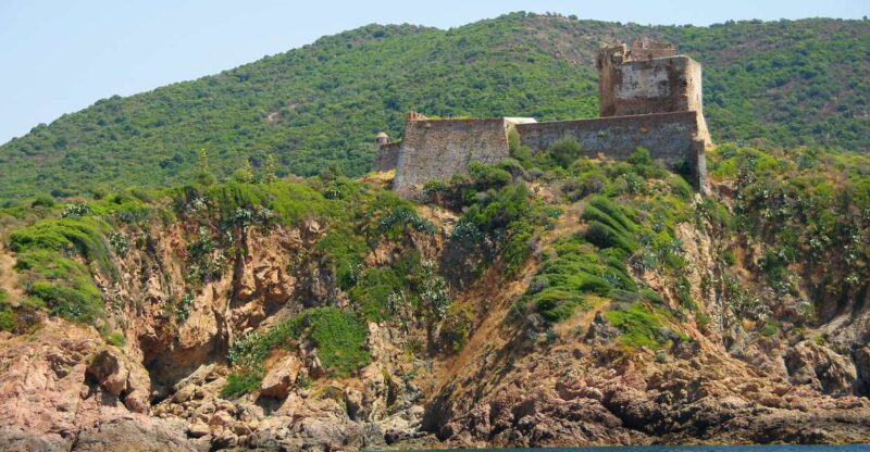 From Porticcio: Guided Scandola Nature Reserve Boat Tour - Highlights