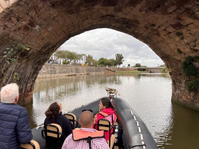 From Portimão: Arade River Boat Tour to Silves Medieval Town - Notable Wildlife and Natural Features