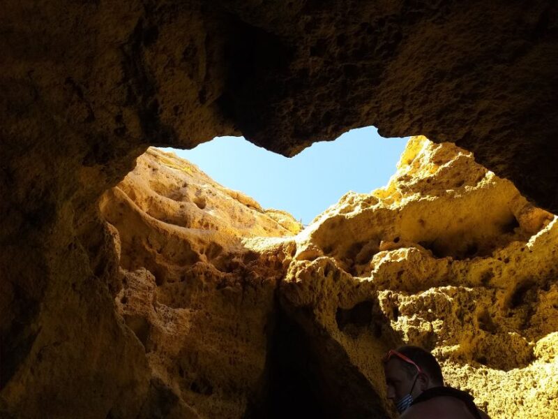 From Portimão: Benagil Caves and Beaches By Boat - Overview of the Activity