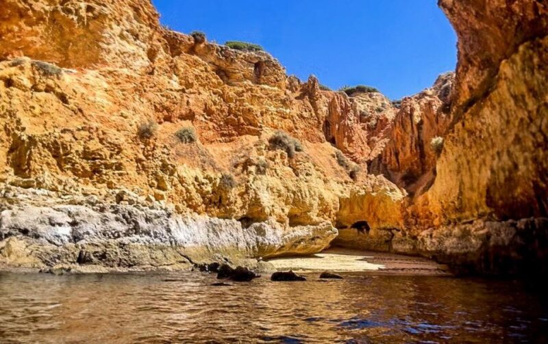 From Portimão to Paradise 60 Min Private Tour - Key Points