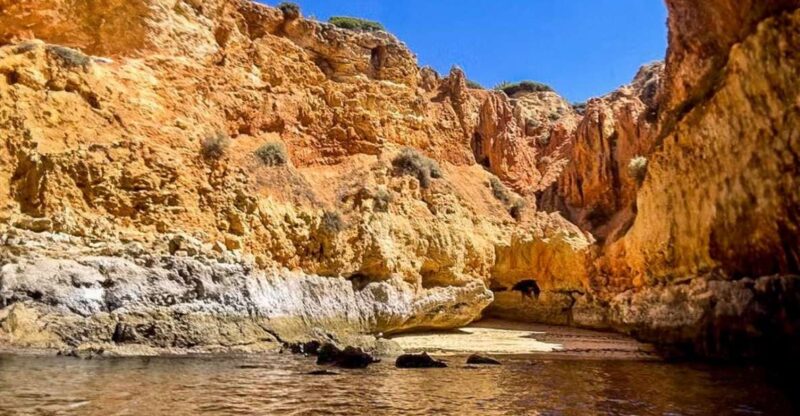 From Portimão to Paradise 60 Min Private Tour - Itinerary Highlights