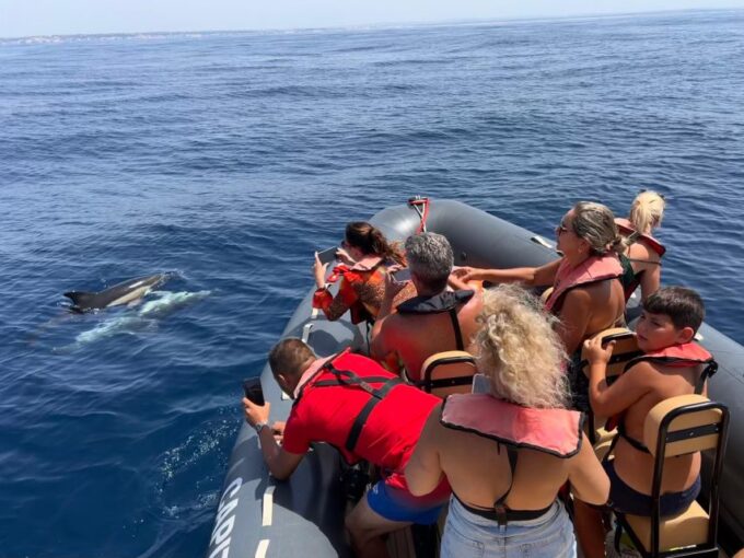 From Portimão:Dolphin Watch & Lagos Coastline With Biologist - Frequently Asked Questions