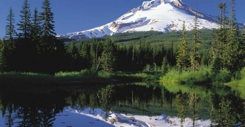 From Portland: Columbia Gorge Waterfalls and Mt. Hood Tour - What Makes This Tour Stand Out