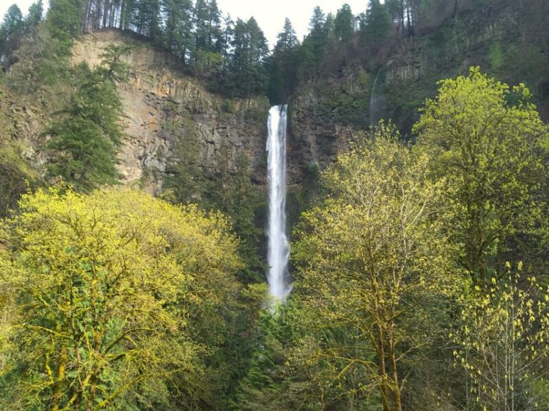 From Portland: Columbia Gorge Waterfalls Tour - Itinerary Highlights