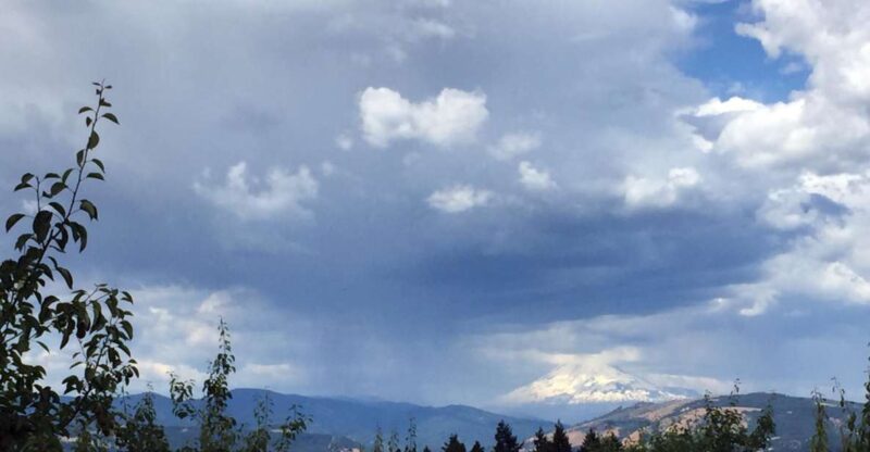 From Portland: Mt Hood, Hood River Valley and Columbia Gorge - Included Amenities