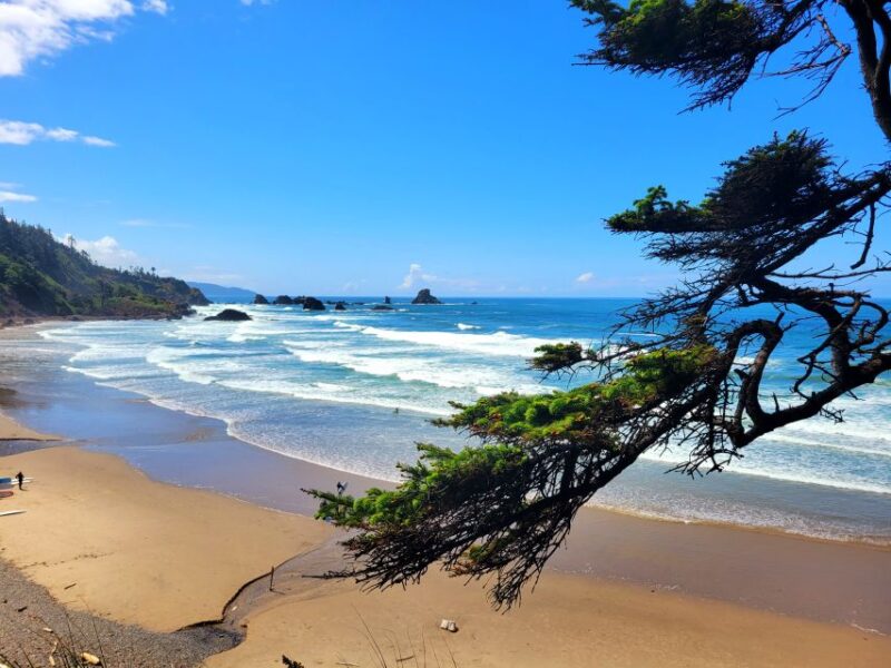 From Portland: Oregon Coast Adventure Day Tour With Pickup - Customer Feedback and Ratings