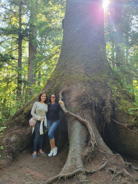 From Portland: Oregon Coast Adventure Day Tour With Pickup - Cancellation Policy and Payment