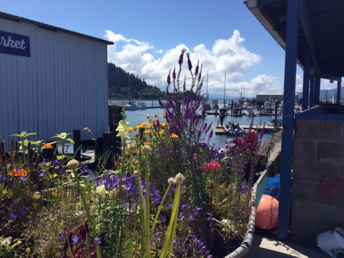 From Portland: Oregon Coast Day Trip Cannon Beach Area - Itinerary