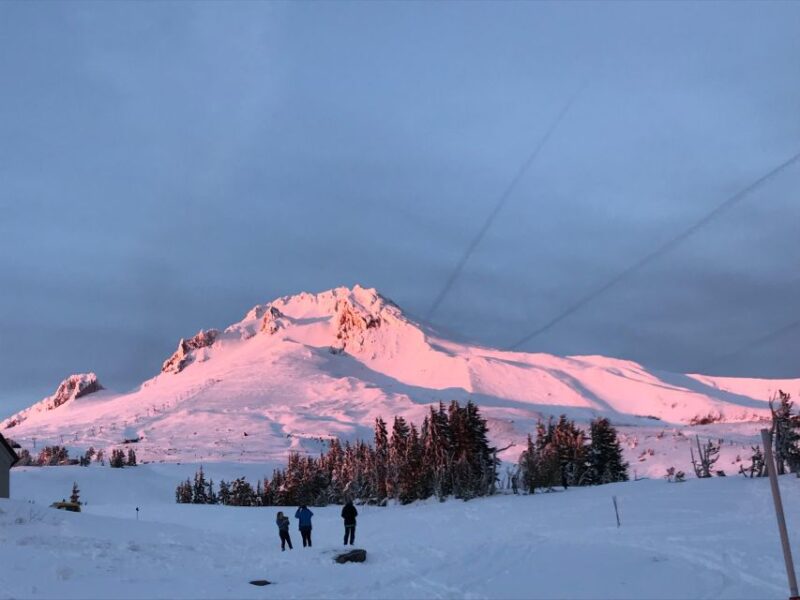 From Portland: Waterfalls, Mt Hood, and Wine Day Tour - Customer Reviews and Ratings