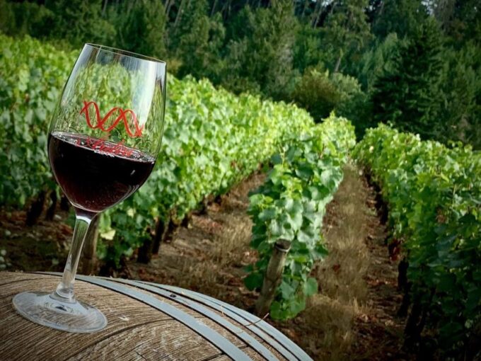 From Portland: Waterfalls, Mt Hood, and Wine Day Tour - Multnomah Falls Exploration