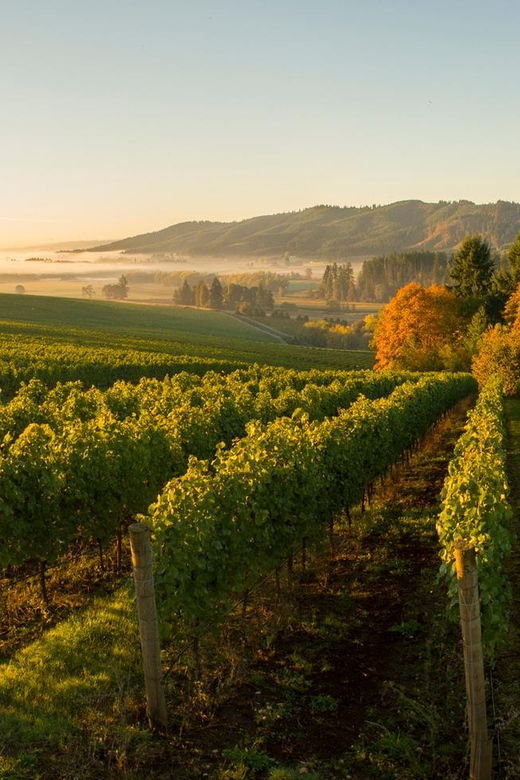 From Portland: Willamette Valley Wine Tasting Tour - Important Information