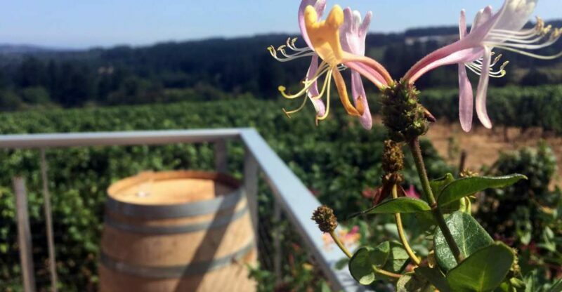 From Portland: Willamette Valley Wine & Whisky - The Lunch and Tasting Fees