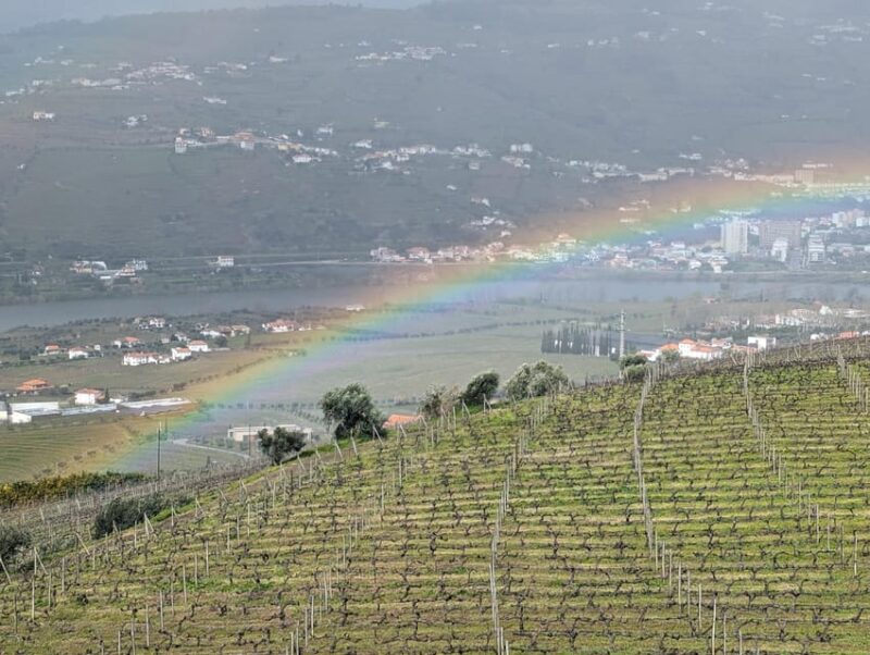 From Porto: 2 Wine Regions, Private Boat & Chefs Lunch - Key Points